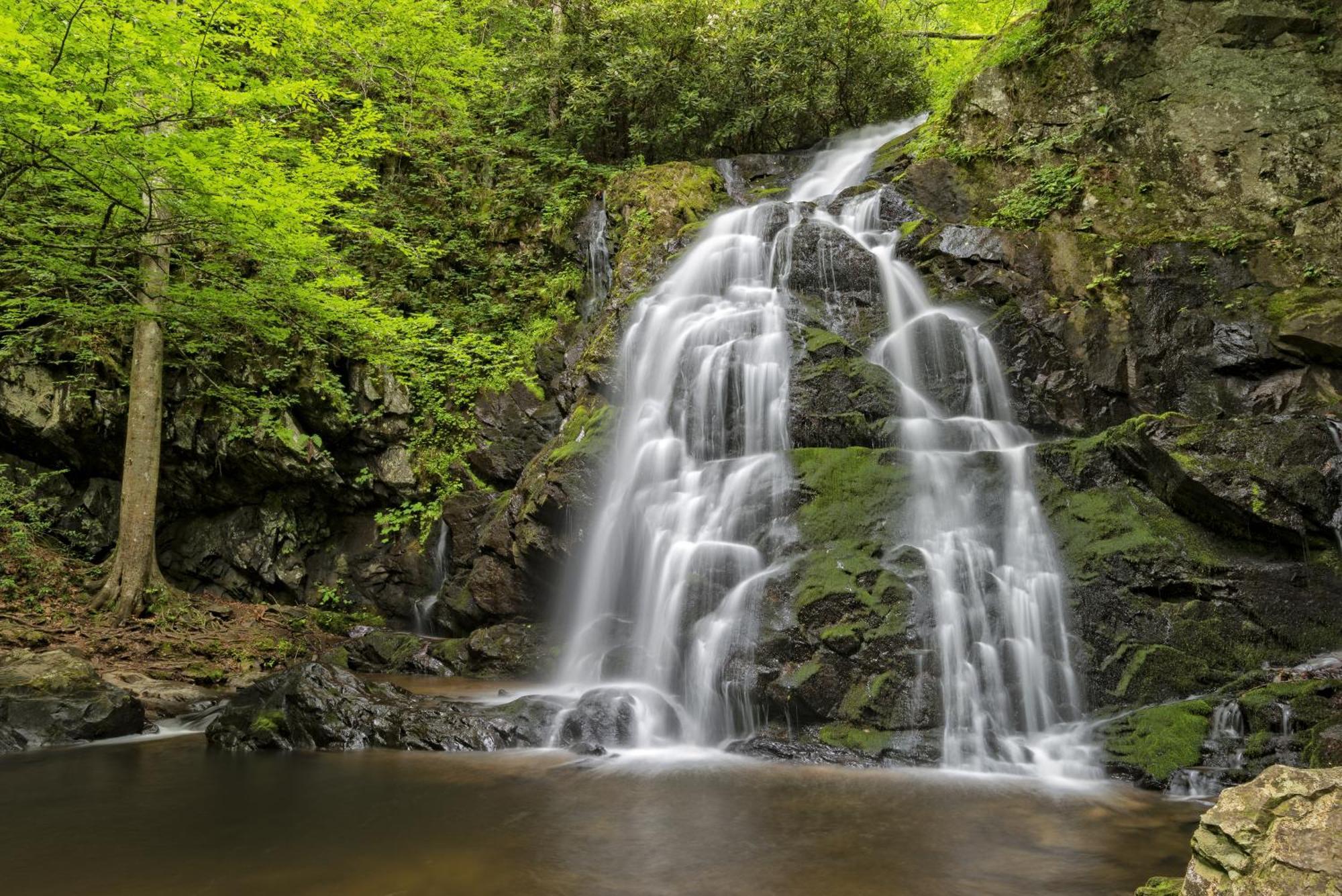 Lazy Bear Lodge, Hot Tub, Resort Pool, Wifi, 1089 Free Tickets Each Paid Day, Dollywood And More Gatlinburg Buitenkant foto