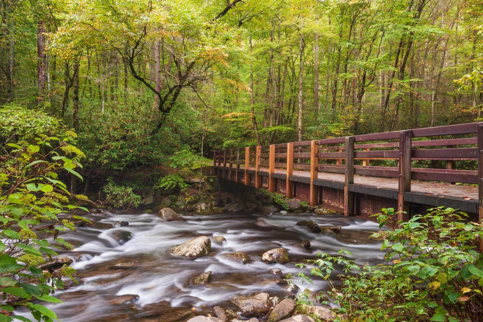 Lazy Bear Lodge, Hot Tub, Resort Pool, Wifi, 1089 Free Tickets Each Paid Day, Dollywood And More Gatlinburg Buitenkant foto